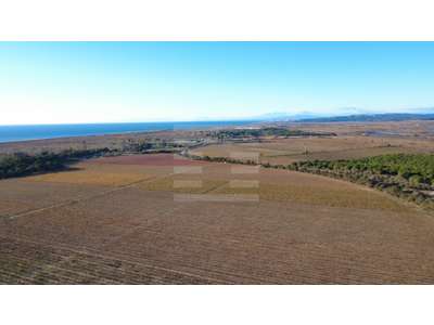 Vente Terrains industriels et agricoles à Vendres