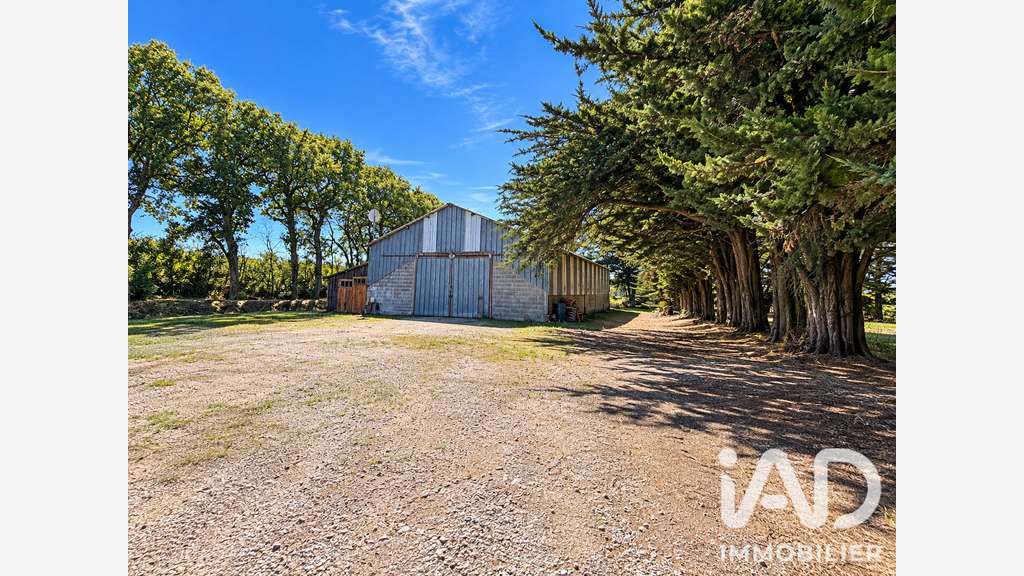 Vente ancienne menuiserie à Saint-Michel-Chef-Chef