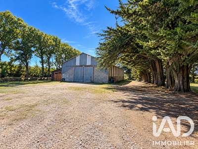Vente ancienne menuiserie à Saint-Michel-Chef-Chef