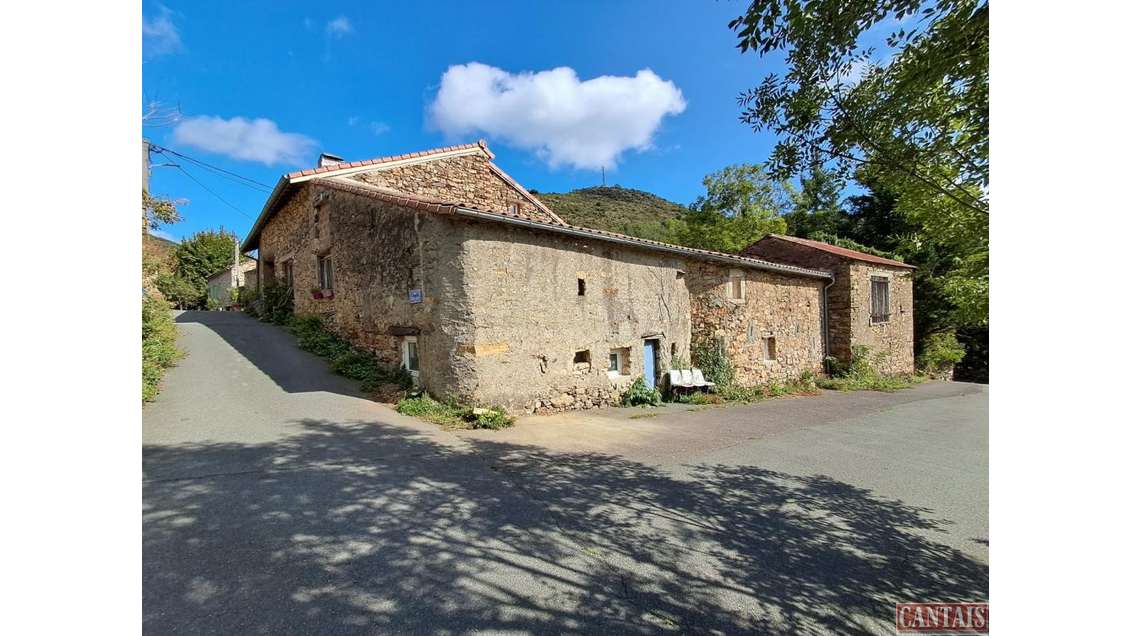 Vente maison chambres d'hôtes dept Hérault