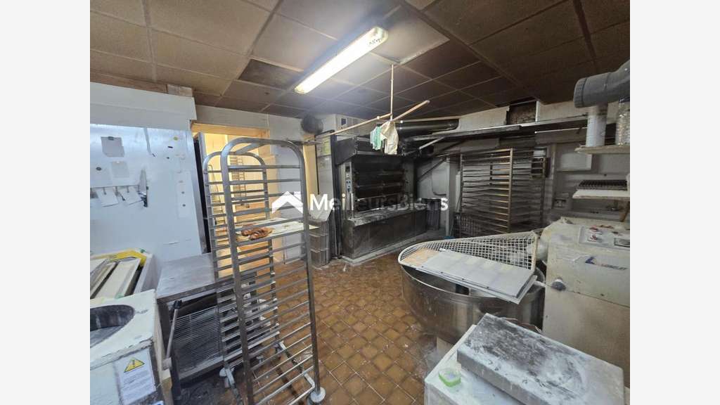 immeuble 244 m² à auxonne avec commerce et a