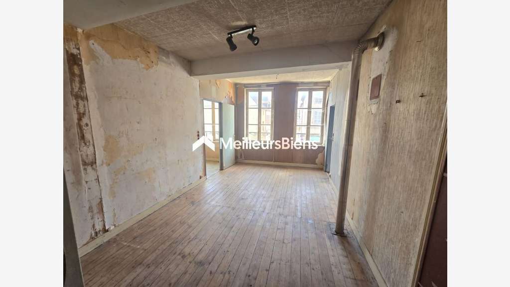 immeuble 244 m² à auxonne avec commerce et a