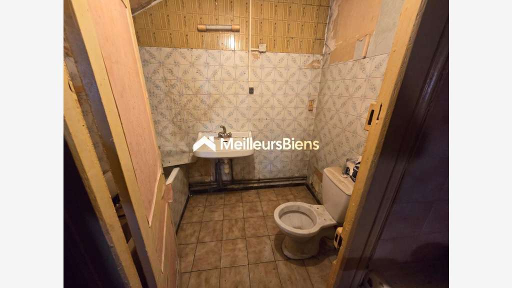 immeuble 244 m² à auxonne avec commerce et a