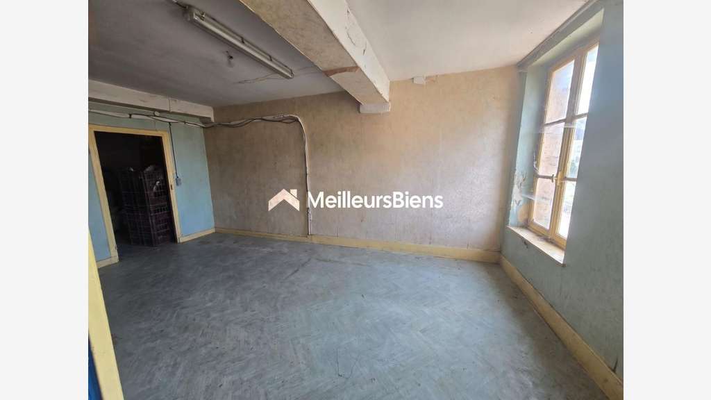 immeuble 244 m² à auxonne avec commerce et a