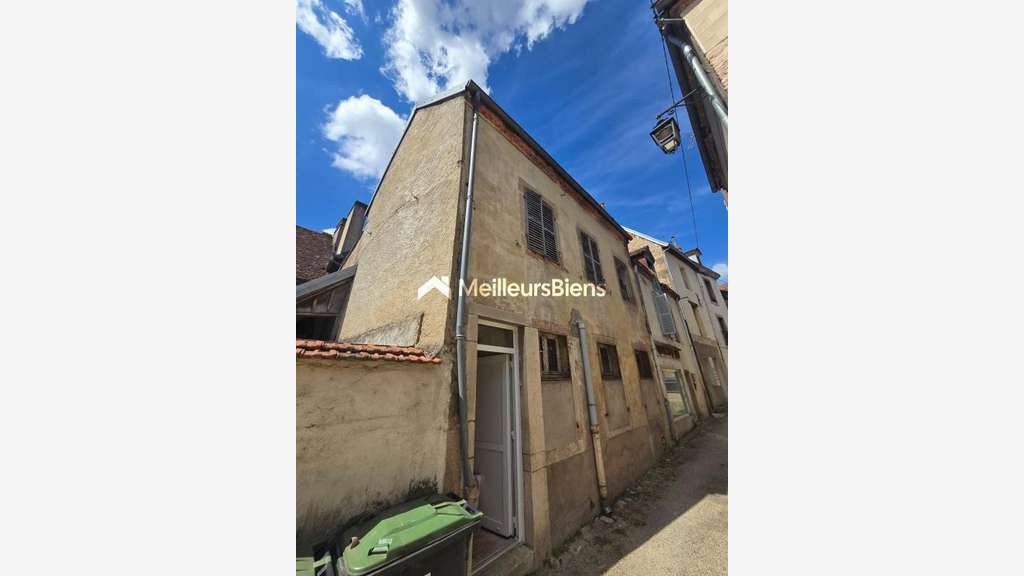 immeuble 244 m² à auxonne avec commerce et a