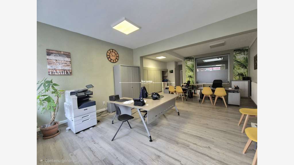 IMMEUBLE DE RAPPORT A USAGE MIXTE