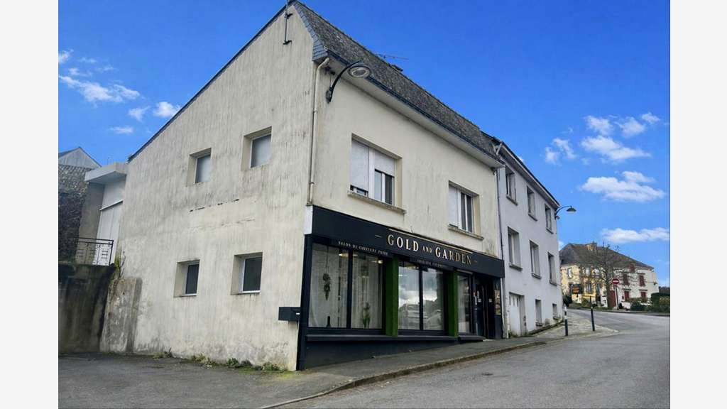 Vente immeuble de rapport à Saint-Jean-Brévelay