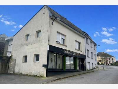 Vente immeuble de rapport à Saint-Jean-Brévelay