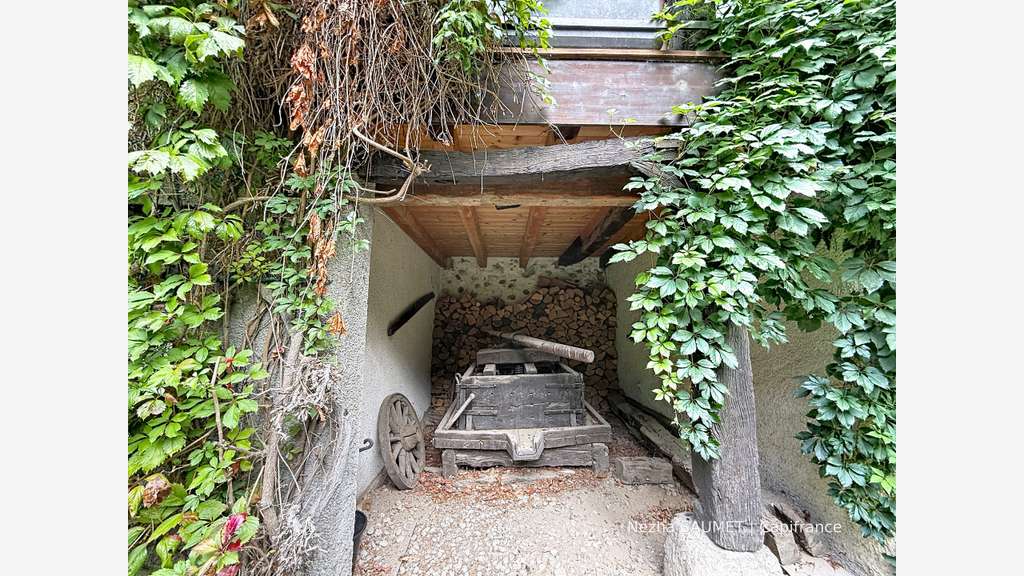 Immeuble à vendre Saint Julien en Genevois