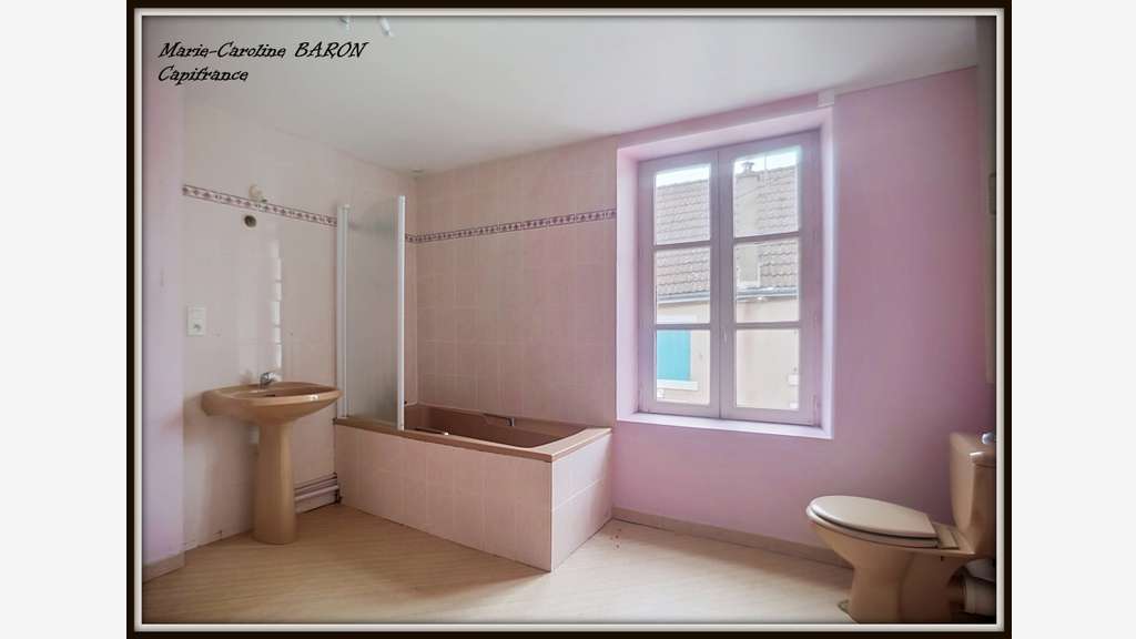 Vente immeubles pour investissement Buzançais (36)