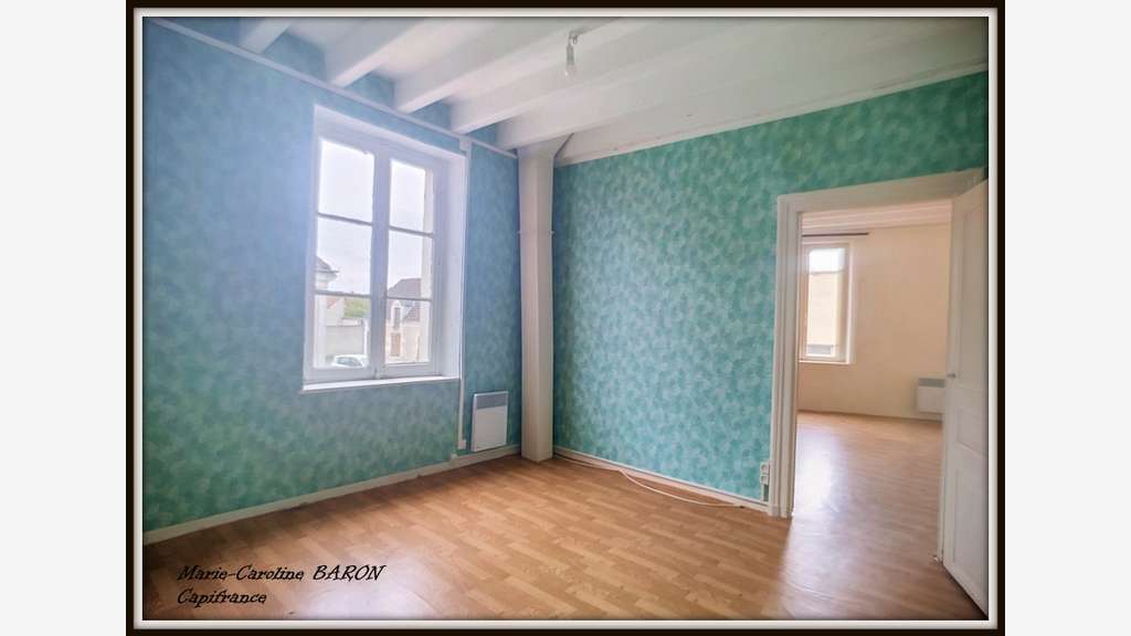 Vente immeubles pour investissement Buzançais (36)