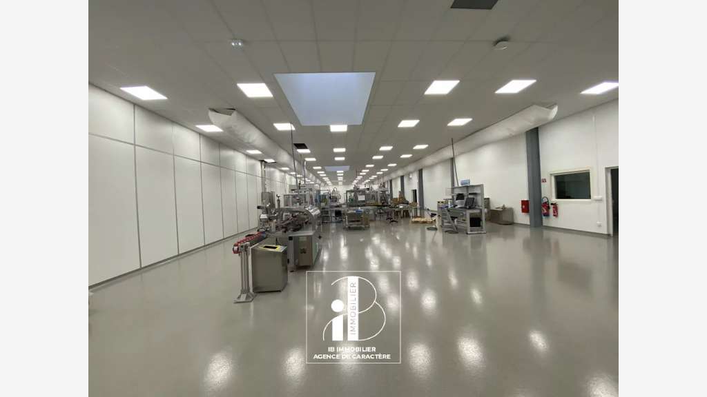 Bâtiment industriel 2200m² Fontainebleau A5 A6