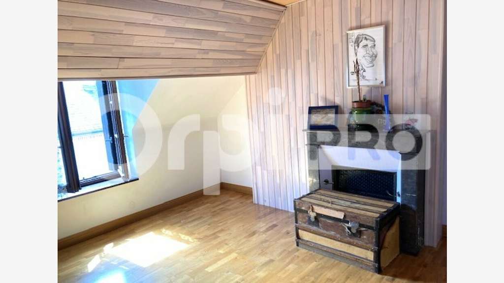 Vente immeuble mixte à  La Ferté St. Aubin
