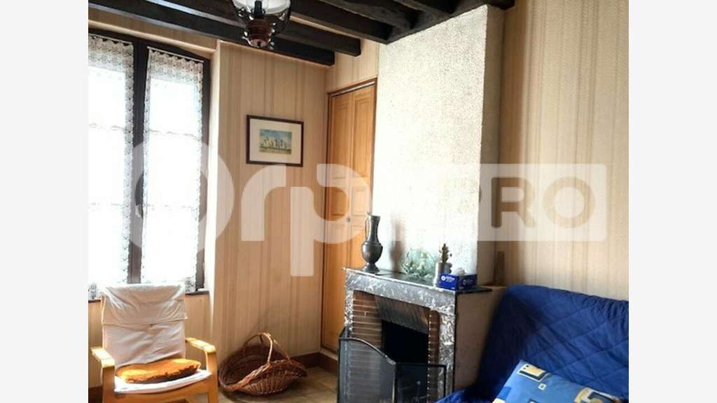 Vente immeuble mixte à  La Ferté St. Aubin