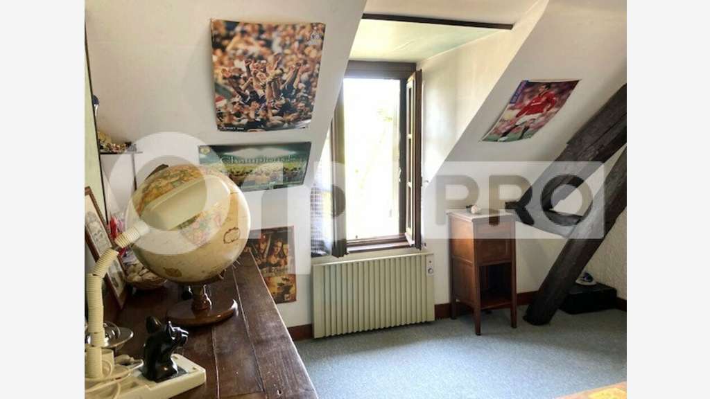 Vente immeuble mixte à  La Ferté St. Aubin