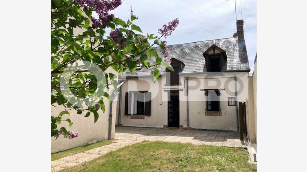Vente immeuble mixte à  La Ferté St. Aubin