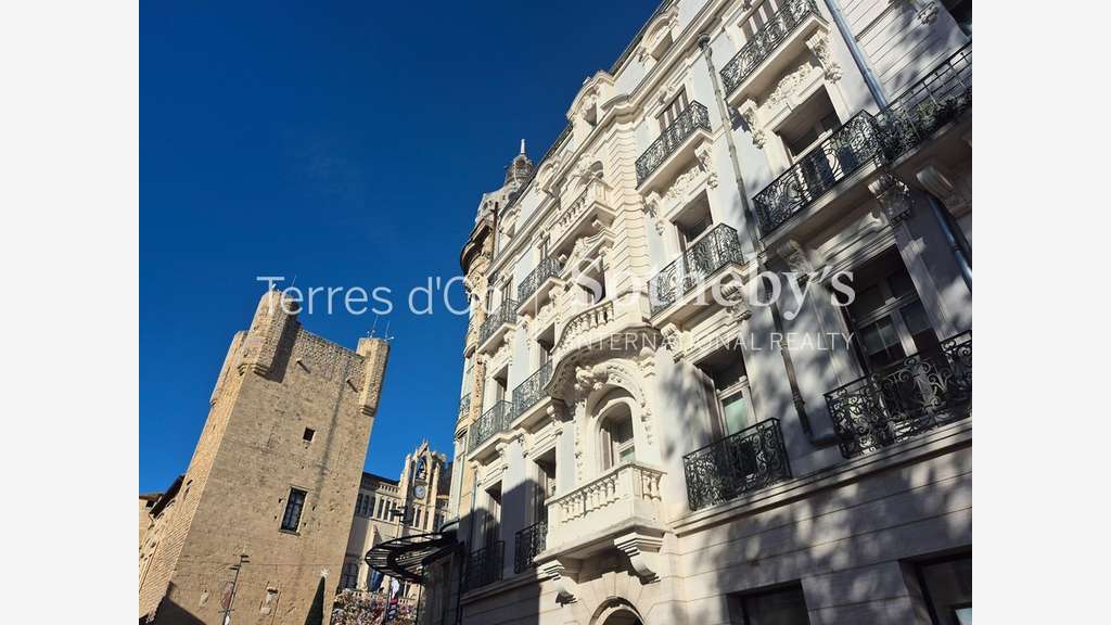 Vente immeuble de caractère à Narbonne centre