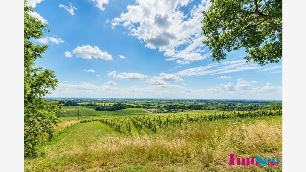 Ensemble immobilier viticole à vendre à Rions