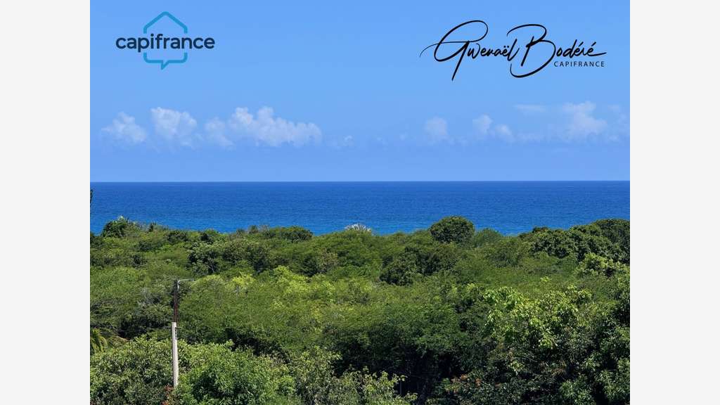 Immeuble de 529m² à vendre à Saint François (971)