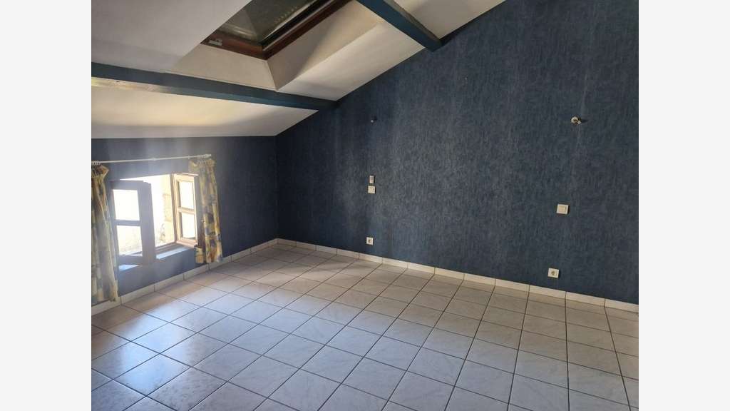 Vente d'Immeuble avec Magasin + Grand Appartement