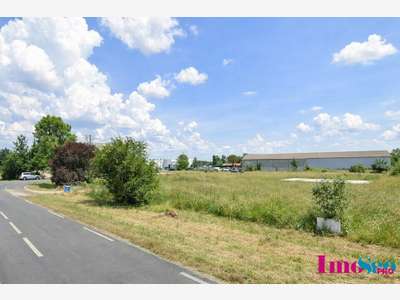 AV terrain de 6911m² à Saint-Louis-de-Montferrand