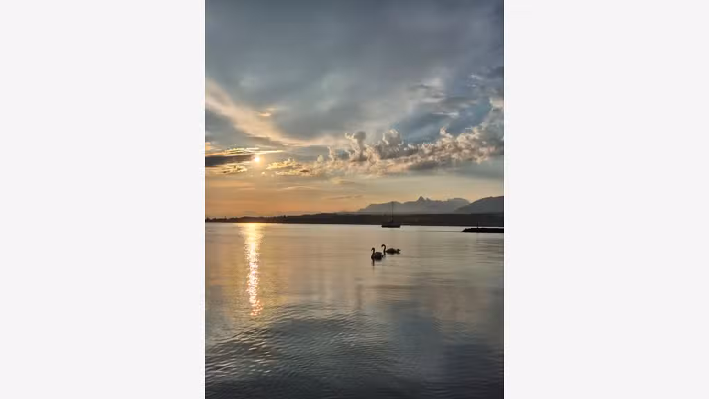 MURS COMMERCIAUX A VENDRE  - BORD DU LAC LEMAN