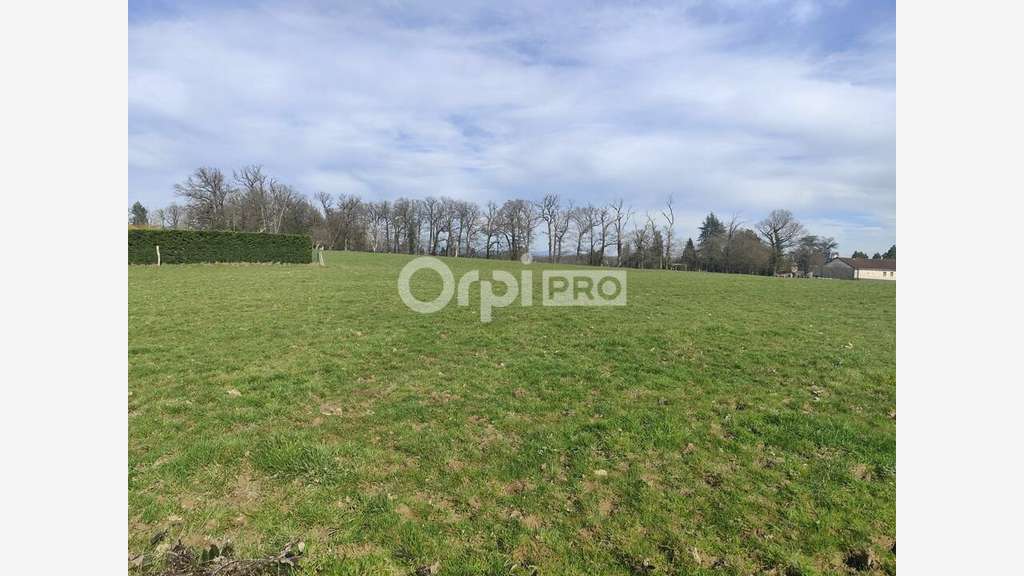 Vente terrain 1ha zone U2 du PLU à Limoges
