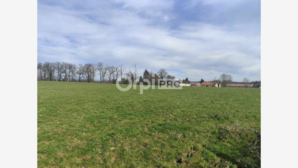 Vente terrain 1ha zone U2 du PLU à Limoges