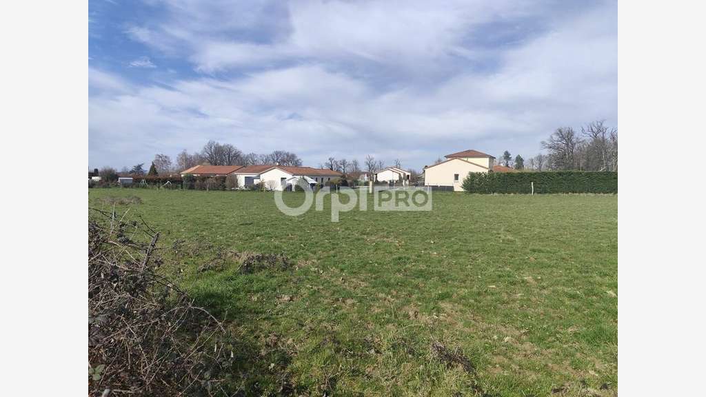 Vente terrain 1ha zone U2 du PLU à Limoges