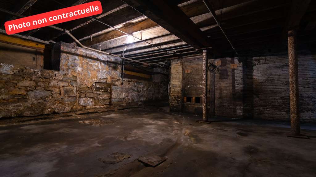 A VENDRE Local - Entrepôt Beaumont sur Sarthe
