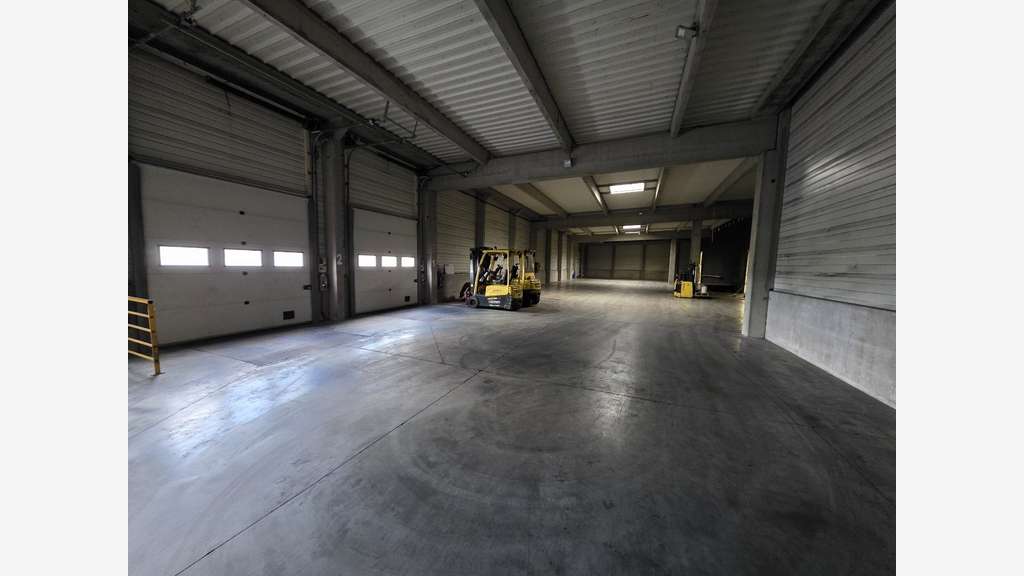 Bâtiment d'activités 2631m² à vendre à Bondues  