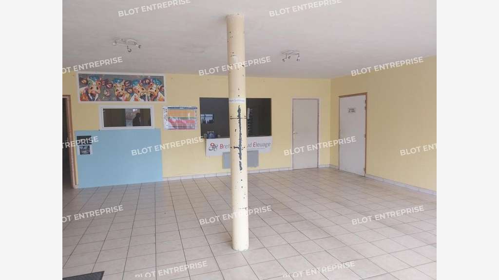 AV local d'activités 1673m² à Châteauneuf-du-Faou