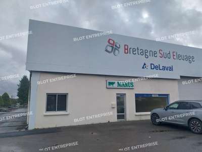 AV local d'activités 1673m² à Châteauneuf-du-Faou