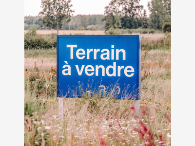 Terrain industriel avec bâtiment (89)