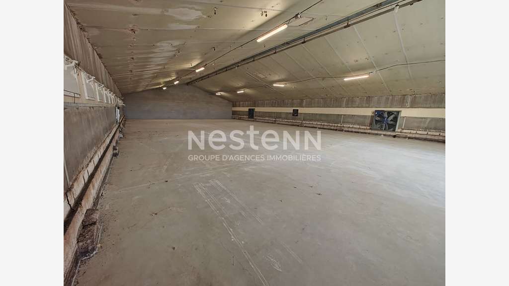 AV ensemble de 4 cellules d'activité 500m² à Fossé