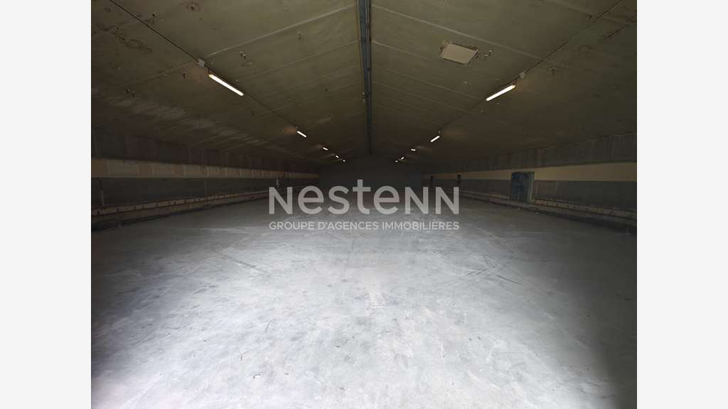 AV ensemble de 4 cellules d'activité 500m² à Fossé