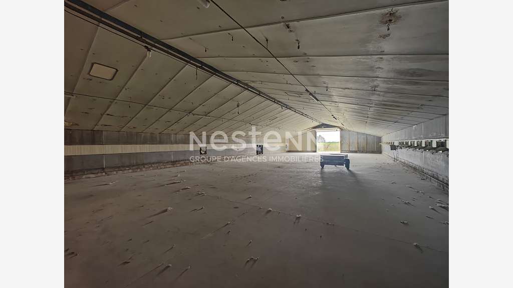 AV ensemble de 4 cellules d'activité 500m² à Fossé
