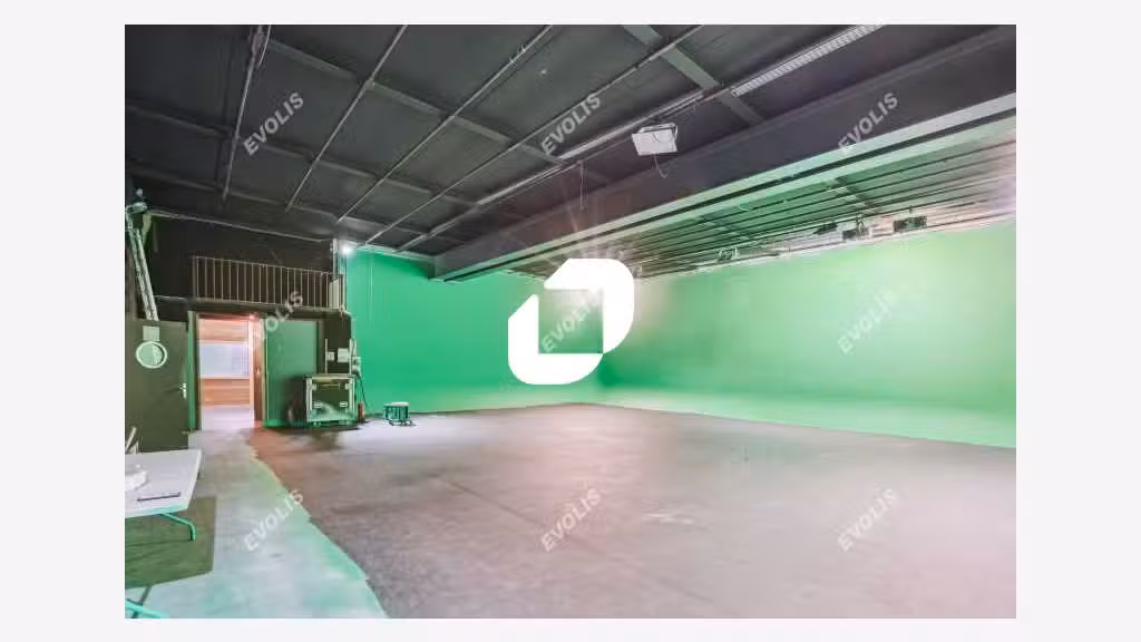 Vente Local d'activité 4193m² Ivry sur seine