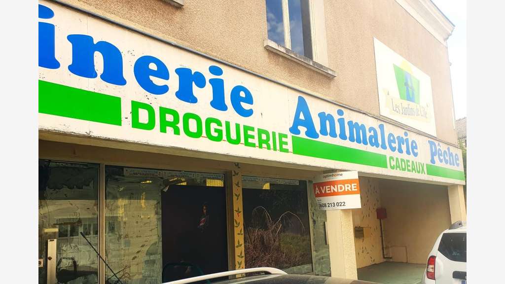 VENTE ou LOCATION - Centre ville de l'Ile