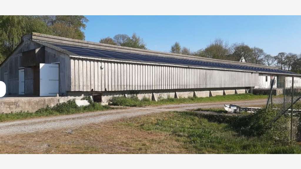 Bâtiment agricole de stockage surélevé, avec quai 