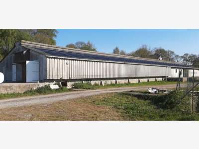 Bâtiment agricole de stockage surélevé, avec quai 