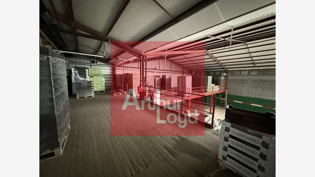 Local activité 2890m² à vendre à Lafrançaise D927