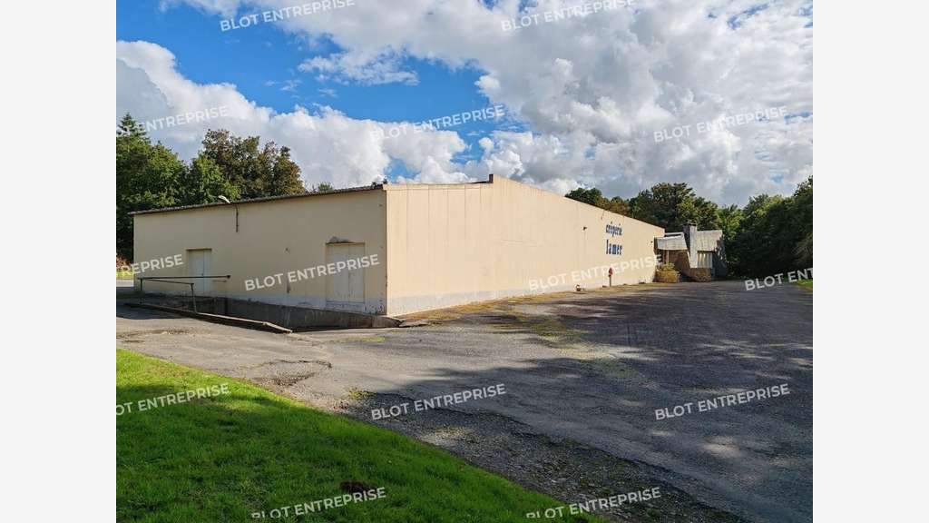 A vendre local activités 1 120m² Lampaul-Guimiliau