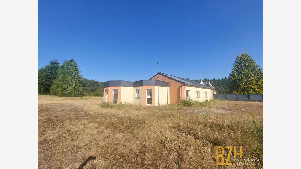 A vendre local 218m² sur terrain 5600m² Languidic