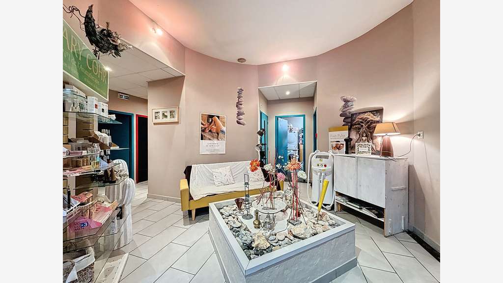 A VENDRE MURS COMMERCIAUX LOUES A MILLAU AVEYRON -