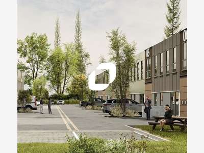 Vente Local d'activité 423m² Moisselles