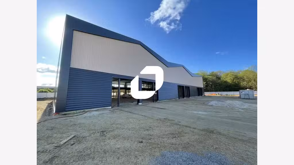 Vente Local d'activité 3990m² Moissy cramayel