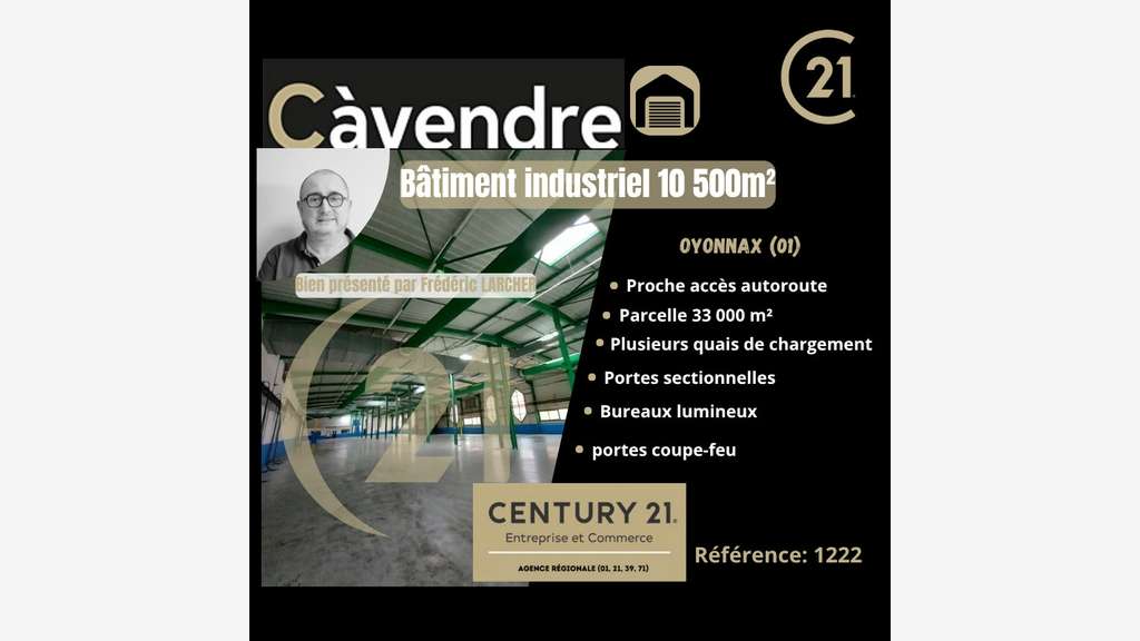 Vente bâtiment industriel 10500m² à Oyonnax (01)
