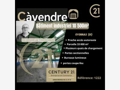 Vente bâtiment industriel 10500m² à Oyonnax (01)