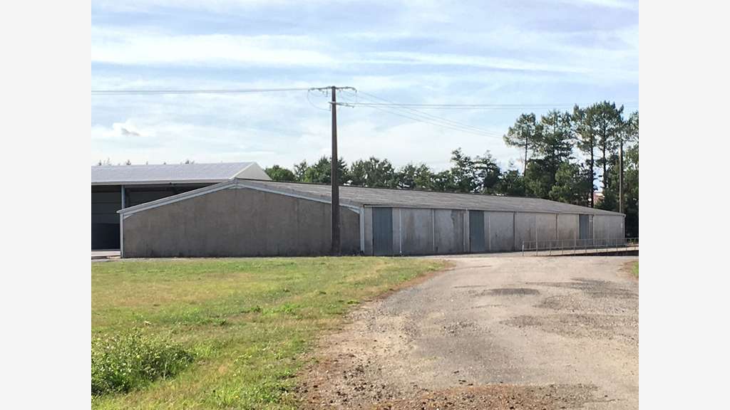 Foncier 28 000 m² avec 6 000 m² de Bâtiment pr